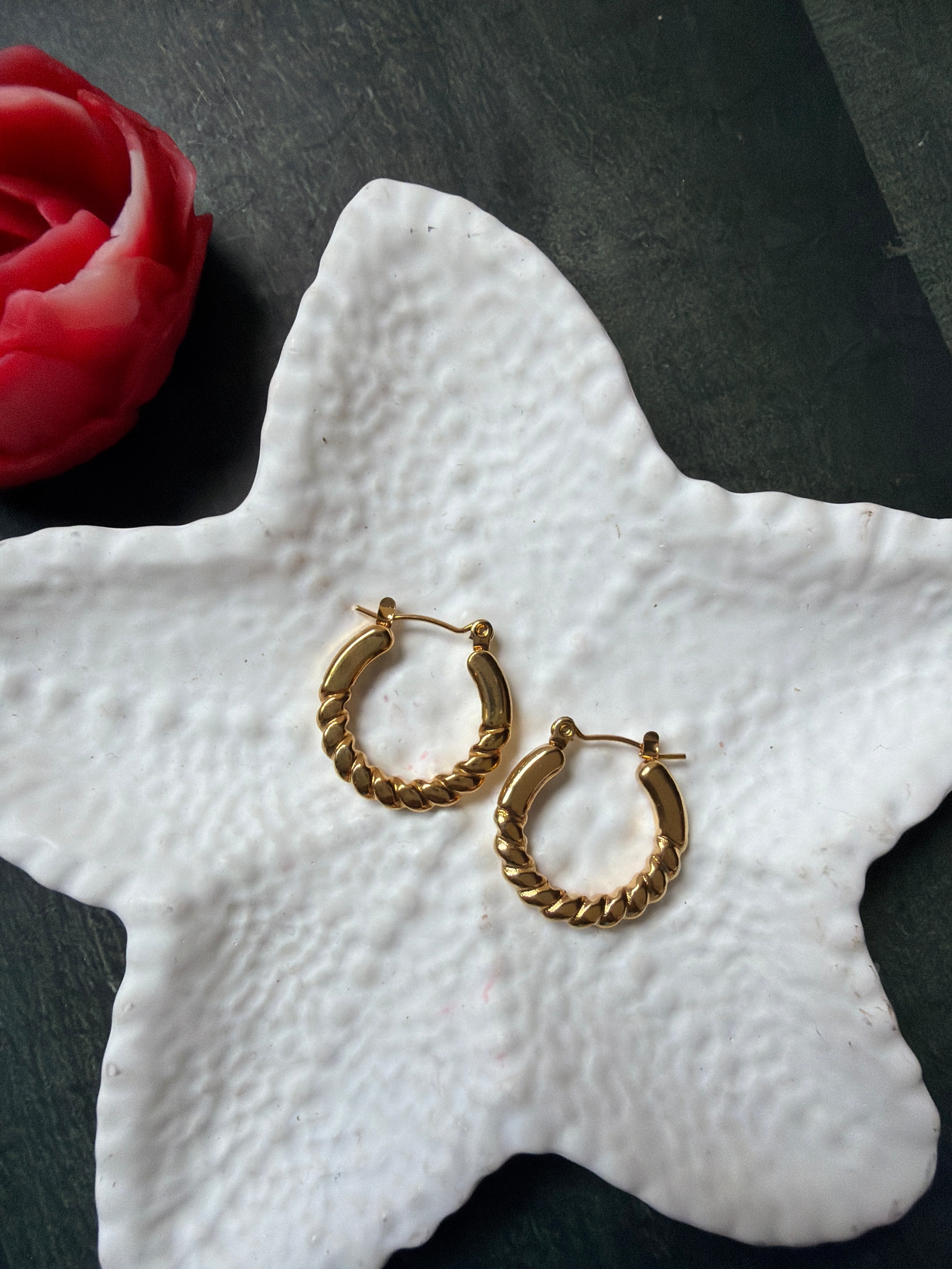 Glossy Golden Hoops